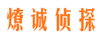 黟县市调查公司